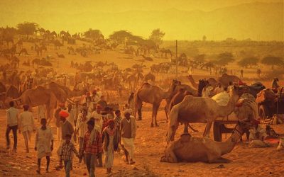 Pushkar Mela