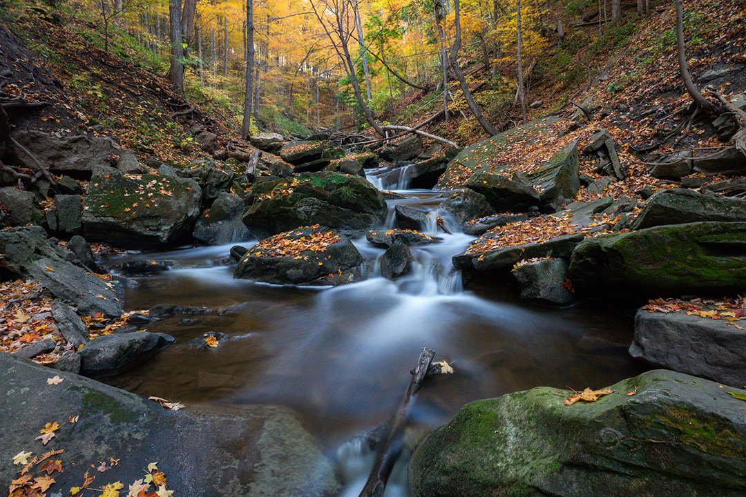 Grindstone Cascade, Waterdown Grindstone Cascade, Waterdown