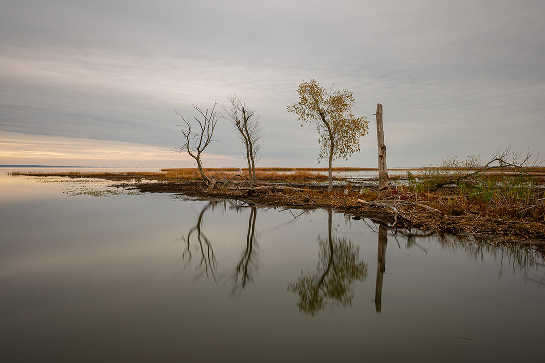 Long Point Long Point